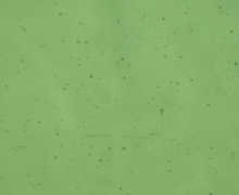 SELFA&trade;UV工序中的玻璃凹痕