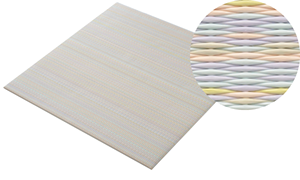 紅椿（beni-tsubaki）